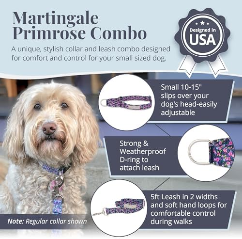 Lucky Love Dog Martingale Collar & Leash Set No Slip Cute – Primrose, Small