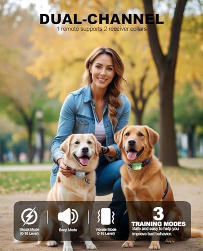 Dog Training Collar with 2600FT Range, Security Lock, Waterproof Dog e-Collar with 3 Modes: Beep, Vibration, Shock Modes, Rechargeable and Suitable for All Breeds and Sizes (Gray)