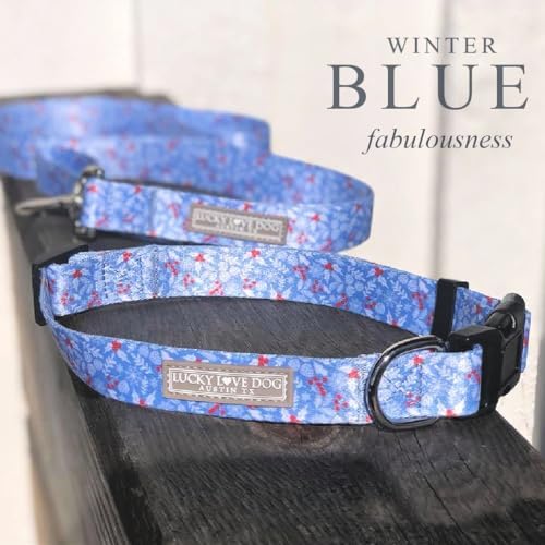 Lucky Love Dog Martingale Collar & Leash Set No Slip – Winter Blue, Small