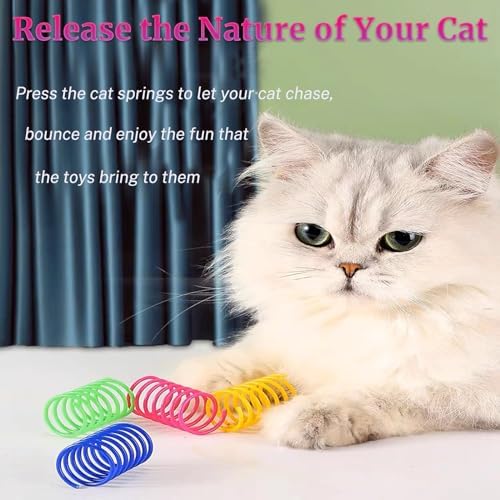 Interactive Cat Toys for Indoor Cats - Colorful Spiral Cat Spring Toys, Durable BPA-Free Plastic Swatting & Hunting Toys, Fun Kitten Accessories to Keep Bored Cats Activ (12 Bulk)