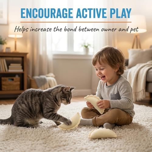 Glaciart One Wool Dumpling Cat Toys with Catnip | Interaction & Boredom Relief, Encourages to Exercise, Explore & Play | Filled w/Organic Herbs to Help Sooth or Reduce Anxiety