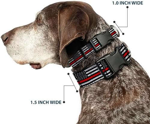 Buckle-Down Plastic Clip Dog Collar