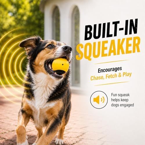 Squeaky Balls for Dogs, Interactive Rubber Fetch Toy for Small Medium Dogs