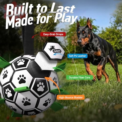 QDAN 10 Inch Gaint Dog Soccer Ball with Straps, Durable Large Dogs Balls | Outdoor Big Dog Toys, Herding Balls for Large Dogs, Puppy Toy for >100 lbs Dogs, Interactive Training Soccer, Pool Water Toy