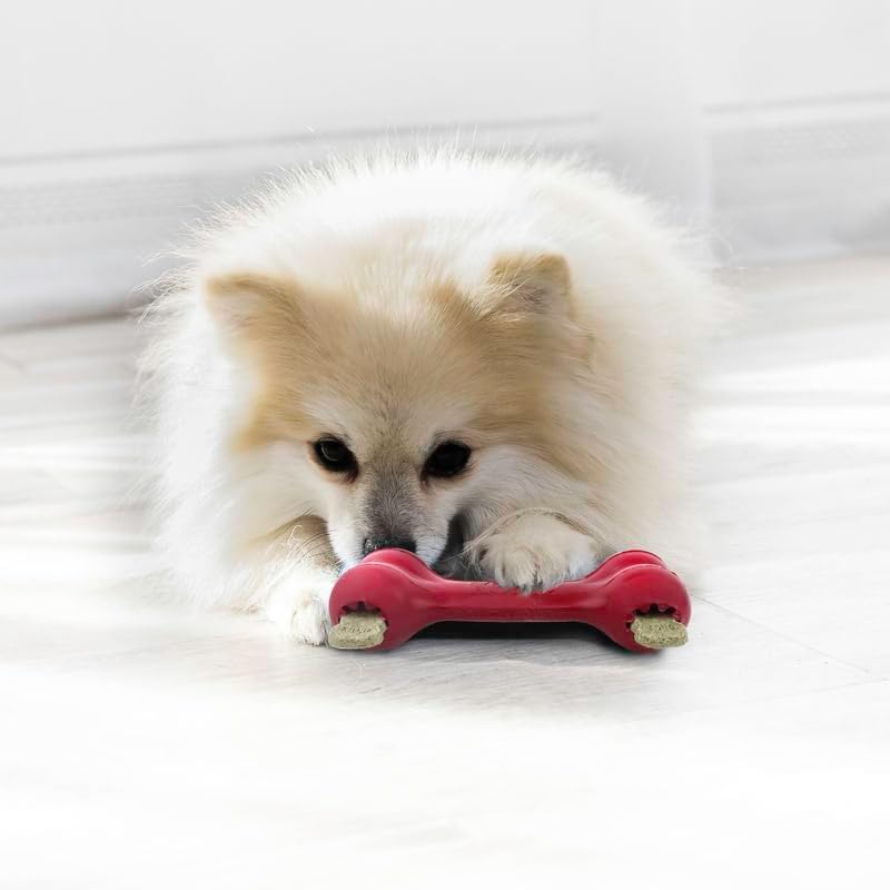 KONG Goodie Bone Small 2 Pack - Classic Durable Natural Rubber Dog Bone- Treat Dispensing - Red - for Small Dogs (2 Pack)