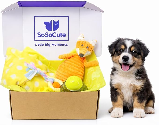 Puppy Starter Kit – 5pc Dog Toy Gift Set for Small Dogs – New Puppy Essentials Gift Box with Blanket, Squeaky Plush, Teething Ring, Treat Ball & Chew Ball (Yellow)
