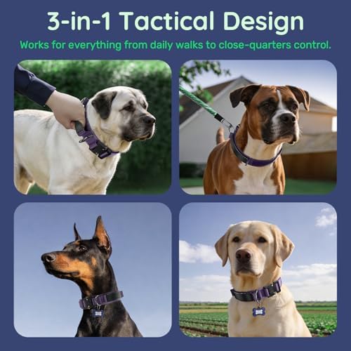 Premium Tactical Dog Collar - Adjustable Military Heavy Duty Dog Collar for Medium Large Dogs - Durable Metal Buckle Dog Collar with Leather Control Handle and Soft Comfortable Padding