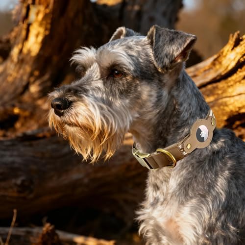 Airtag Dog Collar, Reflective Collar w Airtag Holder for Small Dogs(Brown)