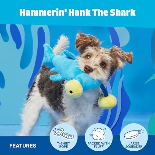 BarkBox Hammerin' Hank the Shark Dog Toy - Toy for Small to Medium Dogs