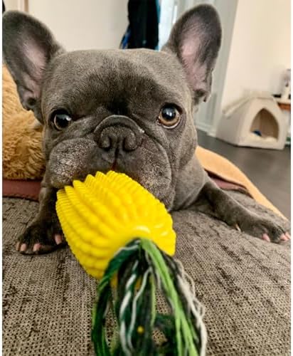 H&H Pets Interactive Corn Chew Toy for Dogs – Durable Squeaky Interactive Toy, Aggressive Chewers, Puppy & Adult Dog Teeth Cleaner, Medium Breeds