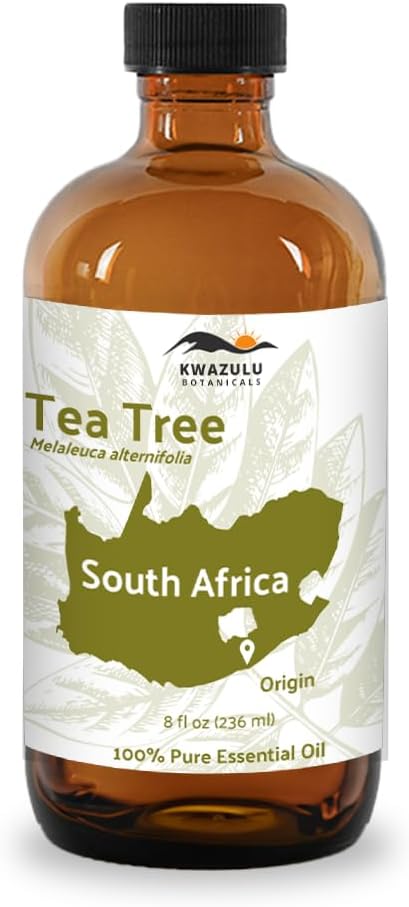 Tea Tree Essential Oil - Direct from Kwazulu Botanicals South Africa - Steam Distilled - Aceite Esencial de Árbol de Té for Aromatherapy, Diffuser, DIY Candle and Soap Making - 8oz