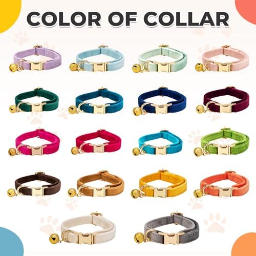 Personalized Cat Collar Custom Engraved with Name - Adjustable Cat Collar & Leash Set with Phone Number, Custom Cat Collar Chain, Unique Gift for Your Cat