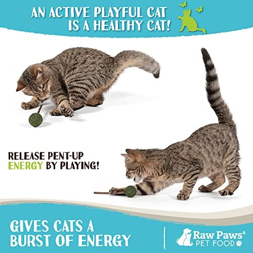 Raw Paws Catnip & Silvervine Lollipops Interactive Cat Toy 6 Pack - Sticks