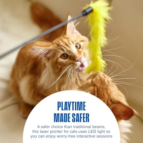 Penn-Plax LED Mouse Projection Toy for Cats - Interactive Cat Toy with Moving Mouse LED Projection for Indoor Chase Play, Exercise, Activity, Mental Stimulation & Everyday Fun - 0.5 x 4.5 x 4 Inches
