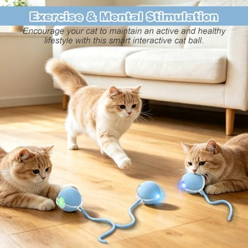 Automatic Interactive Rolling Cats Toys Ball for Indoor, Electric Automatic Rolling Pet Toy, 360° Smart Interactive Rolling Dog Ball Durable and Safe Material for Cat and Dog(Blue)