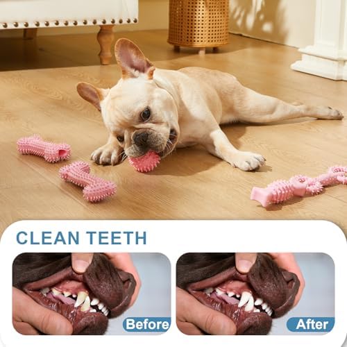 6 Pack Dog Chew Toys for Puppy Cute Dog Toys Puppy Dog Toys for Teething