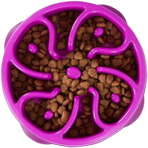 Outward Hound Fun Feeder Slo Bowl – Medium 2‑Cup Capacity, Slow Feeding, Small to Medium Dogs & Cats, Non-Slip, Purple, Flower Pattern