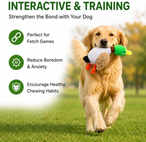 Duck Squeaky Dog Toy with Crinkle Wings and Rope Legs, Interactive Plush Dog Toy for Small Medium Large Dogs, Durable Chew and Tug Toy for Fetch, Boredom Relief, Mental Stimulation and Indoor Play