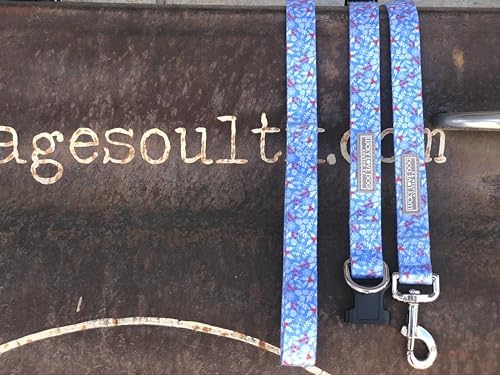 Lucky Love Dog Martingale Collar & Leash Set No Slip – Winter Blue, Small