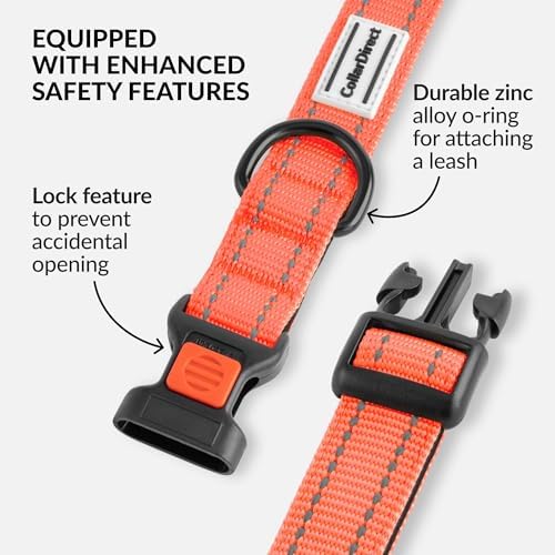 Reflective Dog Collar, Quick-Release Buckle (Coral, 10-13 Inch)