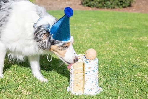 Chuckit! Birthday Fetch Ball, Medium (2.5 Inch Diameter), for Dogs 20-60 lbs (Pack of 12)