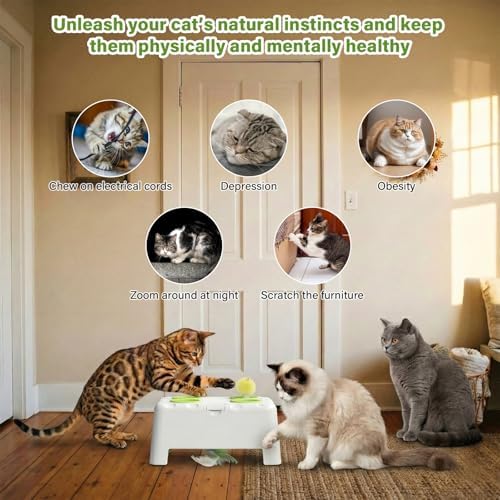 Cat Interactive Automatic Toys, Magic House Whack-a-Mole Toy | Rechargeable Stimulating Feather Kitten Toys, 3 Play Modes, 4 Holes Design, 4 Replacement Accessories