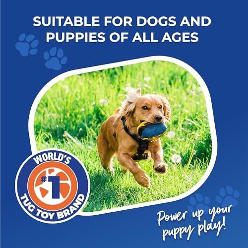 Tug-E-Nuff The Clam (Orange & Blue) Compact Dog Treat Dispenser Toy, 4.5"