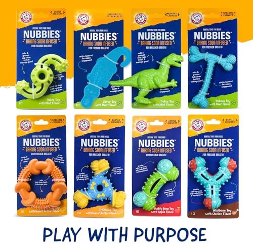 Arm & Hammer Nubbies Duality Bone Dental Dog Chew Toy, Apple Flavor, 2-Pk