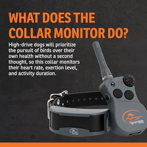 SportDOG FieldSentinel 825 Remote Trainer, Half-Mile Range, Health Alerts