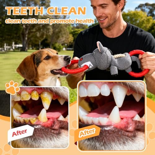 Tug-of-War Dog Toy, Durable Plush Chew Toy with Double EVA Pull Rings for Interactive Play, Chewing & Training for Small Medium Large Dogs