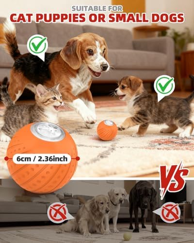 Jovrun Interactive Dog Toys Ball, 2025 Upgraded Remote Control Small Dog Toys, Durable Motion Activated Automatic Dogs Balls for Small Dogs (Orange, with Remote Control)