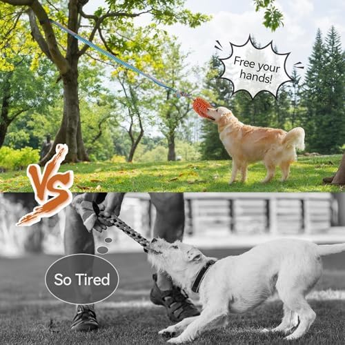 ALL FOR PAWS Dog Bungee Tug Toy, Outdoor Hanging Bungee from Tree for Chase & Tug Fun, Interactive Tug-of-War Toy for Small and Medium Dogs, Bungee Cord with Dog Rope Toy & Soft Chew Toy