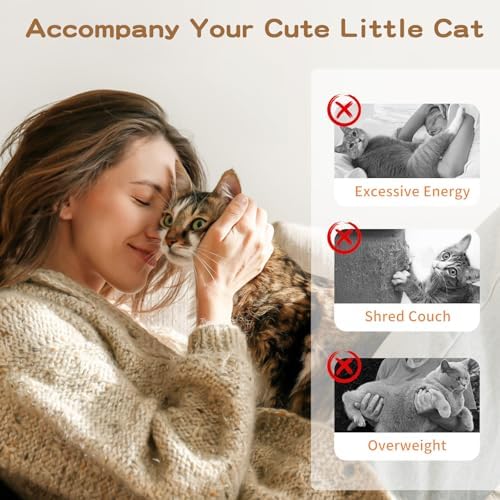 Pawaboo Cat Feather Wand Interactive Toy, 2 Feathers + 1 Wand with Bell