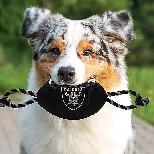 Pets First NFL Raiders Football Dog Toy, Tough Quality Nylon Materials, Strong Pull Ropes, Inner Squeaker, NFL Team Color