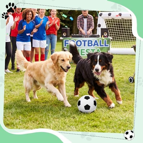 Blueweenly 2 Pcs Stuffed Soccer Ball Dog Toys, 6.3 Inch Squeaky Football Dog Toys, Soft Interactive Chew Indoor Outdoor Playing Supply for Small Medium Large Pet Rolling Tossing Chasing Games, White