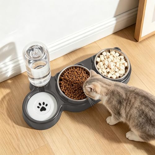 3 in 1 Cat Bowl, Cat Food and Water Bowl Set, Stainless Steel Cat Food Bowls Elevated with Tilted Design, 2 Pet Dish & Automatic Water Dispenser Feeding Station, Small or Medium Sized Dogs