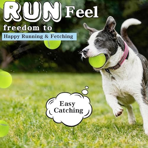 Magicorange Tennis Balls for Dogs,Colorful Easy Catching Dog Balls,16 Pack