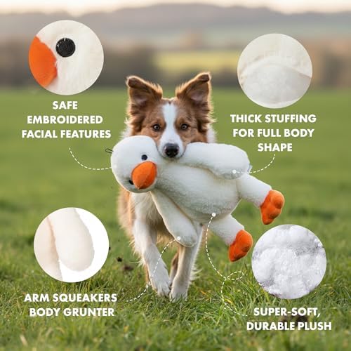 PetLou Colossal Durable Squeak Dog Toys -Durable Fabric -Tough and Reliable for Aggressive Chewers (00352)