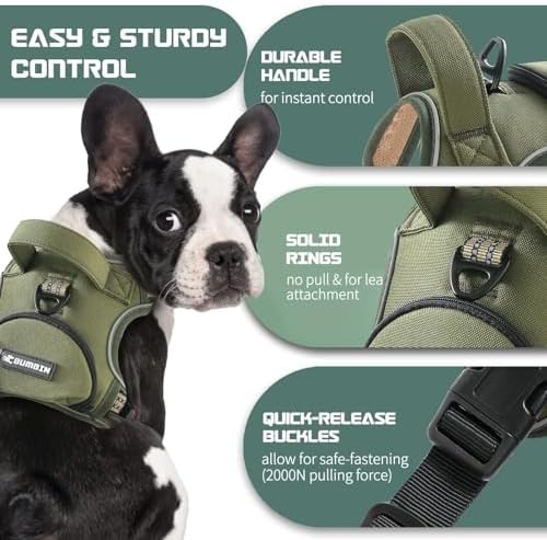 No Pull Dog Harness for Large Dogs, Adjustable No Choke Pet Vest with Dog Leash Fit Smart Reflective Pet Walking Harness for Training Easy Control Soft Handle Green L