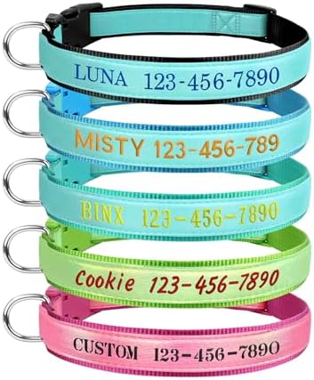 Personalized Dog Collars Glow in The Dark, Custom Embroidered Name & Phone Number Tags, Adjustable Luminous Collar for Small & Large Dogs (Fluorescent Glow)
