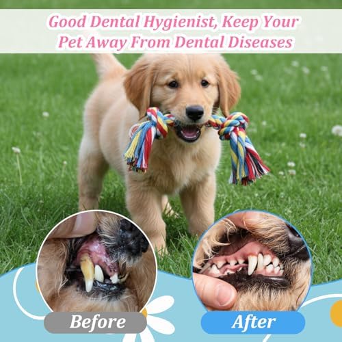 48 Pcs Dog Toys Bulk, 6.7-Inch Dog Rope Toy for Small Medium Dogs, Cotton Puppy Chew Rope for Teething, Tug of War, Dental Health, Interactive Ropes Toys for Dogs, Aggressive Chewers