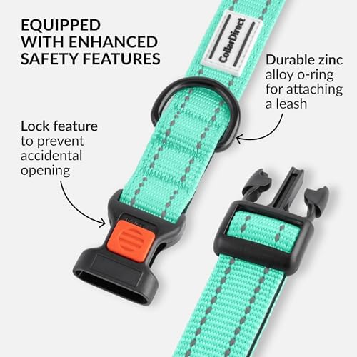Reflective Dog Collar, Quick-Release Buckle (Mint Green, 18-26 Inch)