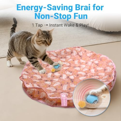 Cat Toys for Indoor Cats, Interactive Cat Toy for Adult Cats