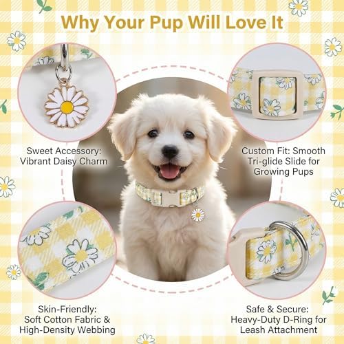 Cute Dog Collar, Yellow Plaid Dog Collar with White Floral Pattern, Spring Summer Design Floral Collar for Girls Boys Large Dogs