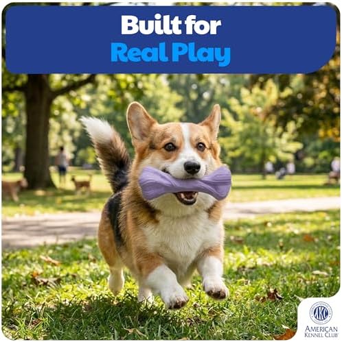 American Kennel Club Training Dog Chew Toy, Large PP Bone Dog Toy, Durable Dog Toy for Moderate Chewers, Beef Scented for Long-Lasting Engagement, Supports Dental Health, Purple