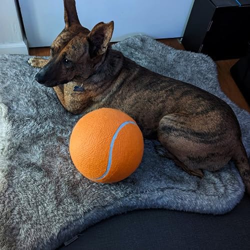 9.5" Large Dog Tennis Balls (2-Pack), Inflatable Toy with Pump