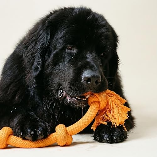 Playology Tug Rope Dog Toys for Large Breed Dogs - Mega Size, Cheddar Scent