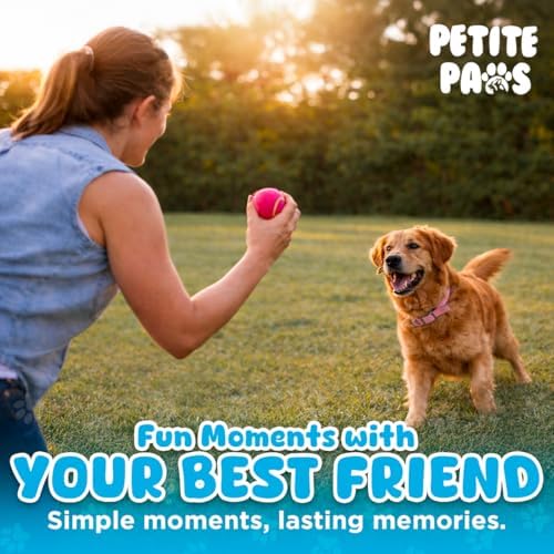 BundleBee Petite Paws Squeaky Tennis Balls for Dogs 2.5 Inch - 12 Pack Dog Toy Balls - Non-Toxic Rubber Squeaky Balls for Medium Large Dogs, Fetch Training Toys, Colorful Bouncy Dog Ball