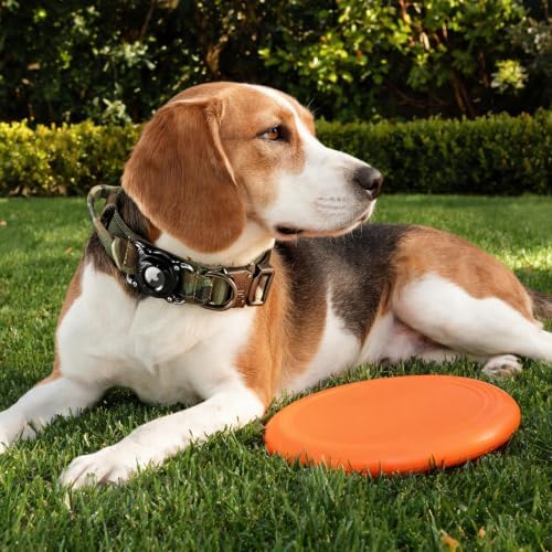 Never Lose Your Dog! AirTag Dog Collar with Waterproof Case | Tactical Collar for Large Dogs Featuring Military Handle & Durable Strap | Secure GPS Tracking for Apple AirTag (Camo, M)
