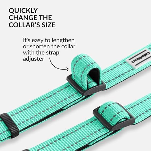 Reflective Dog Collar, Quick-Release Buckle (Mint Green, 18-26 Inch)